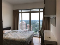 The Metropolitan Condominium (D3), Condominium #204934511
